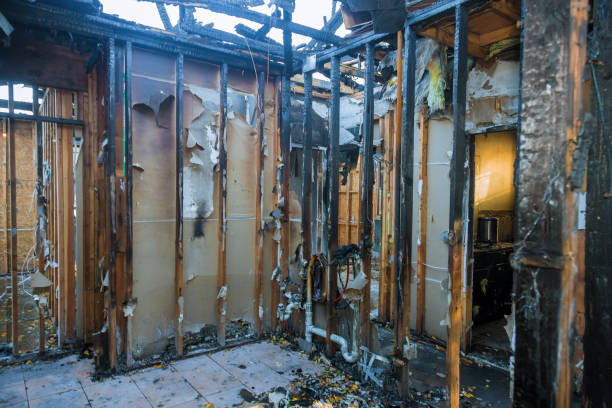 Professional Smoke Damage Removal technician working in Savage, MN